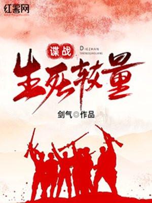谍战：生死较量封面