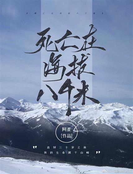死亡在海拔8000米封面