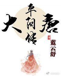 大唐平阳传封面