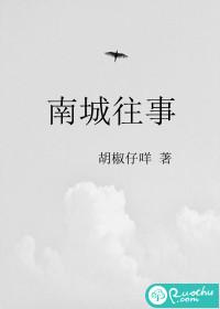南城往事封面