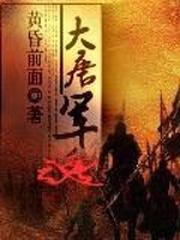 大唐军魂封面