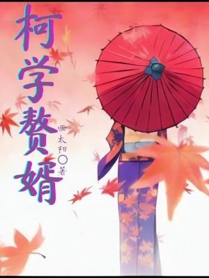 柯学赘婿封面
