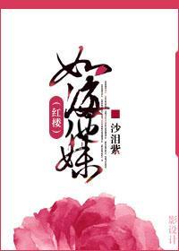 如海他妹封面
