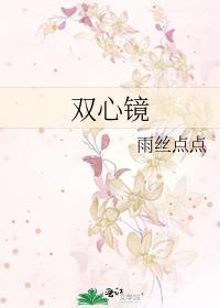 双心镜封面