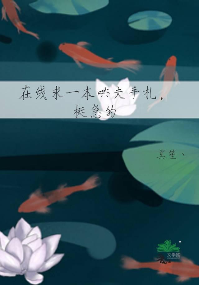 在线求一本哄夫手札，挺急的封面