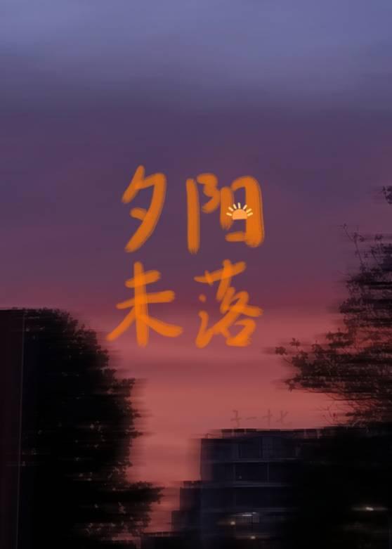 夕阳未落封面