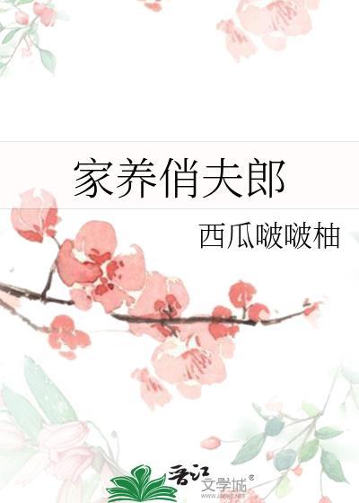 家养俏夫郎封面