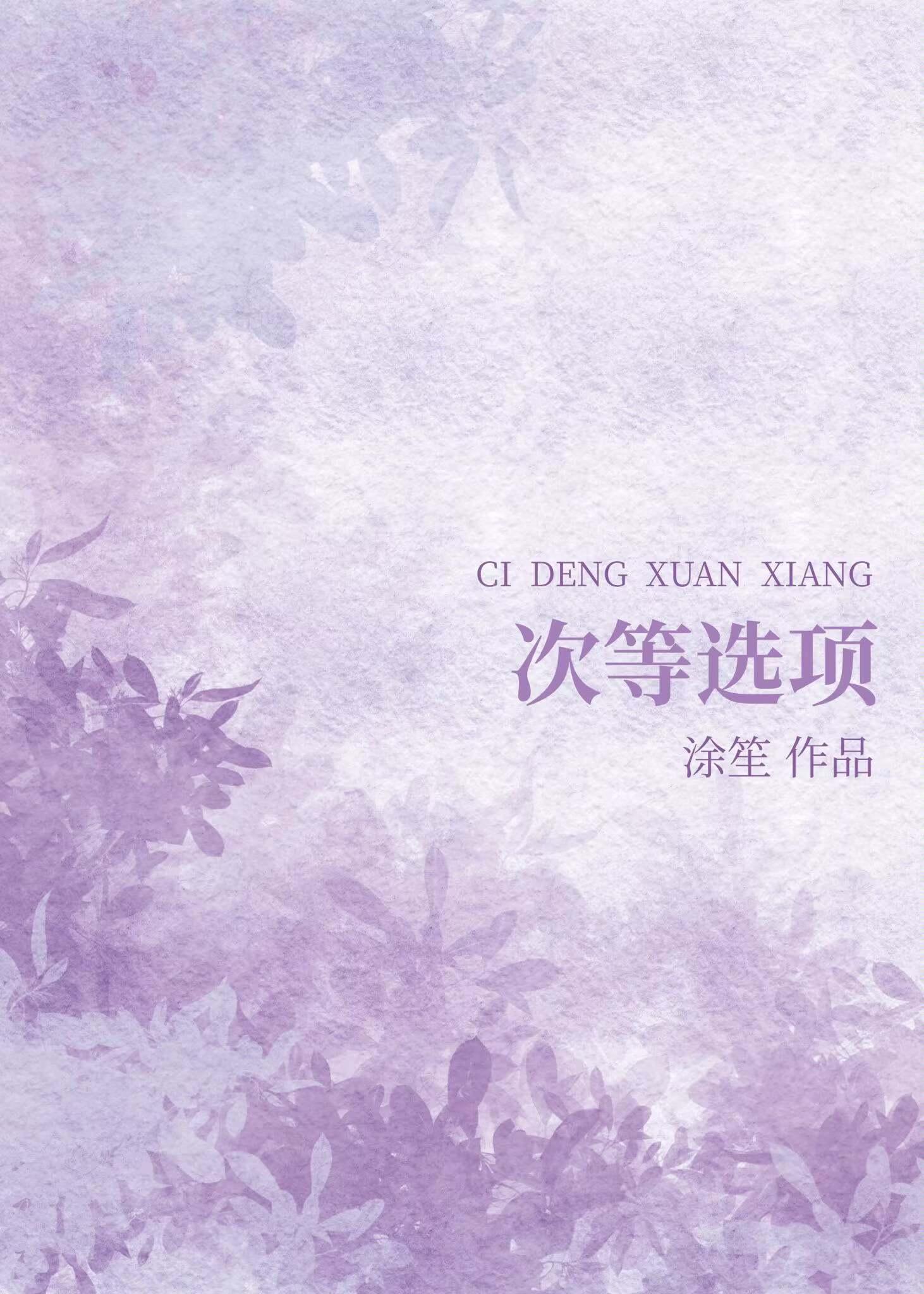 次等选项封面