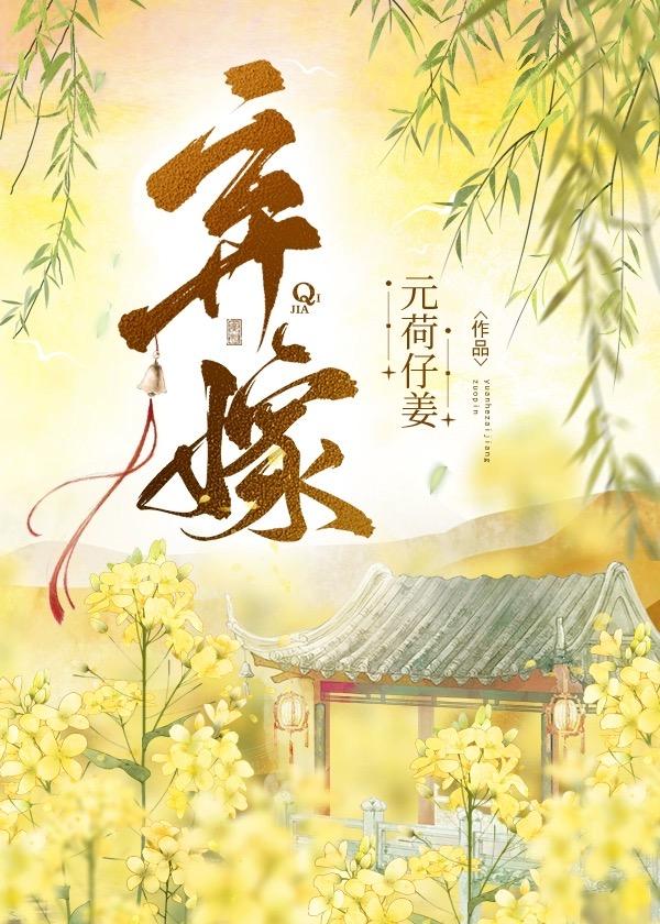 弃嫁封面