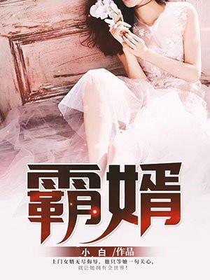 霸婿封面