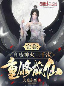 完美：自废神火三千次，重修成仙封面