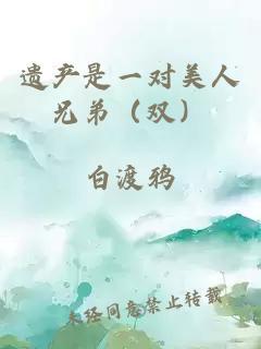 遗产是一对美人兄弟（双）封面