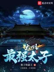 大明最强太子封面