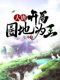 大唐开局圈地为王封面