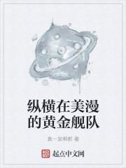 纵横在美漫的黄金舰队封面