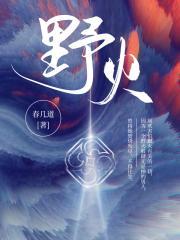 野火封面
