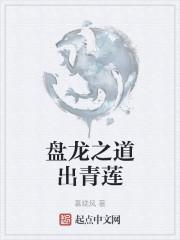 盘龙之道出青莲封面