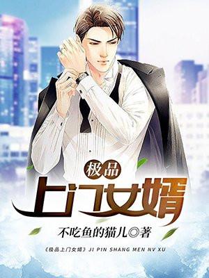 极品女婿封面