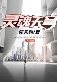灵魂天穹封面