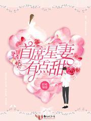 首席星妻有点甜封面
