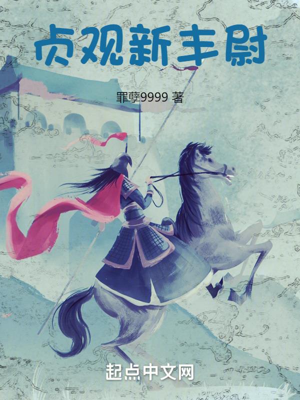 贞观新丰尉封面