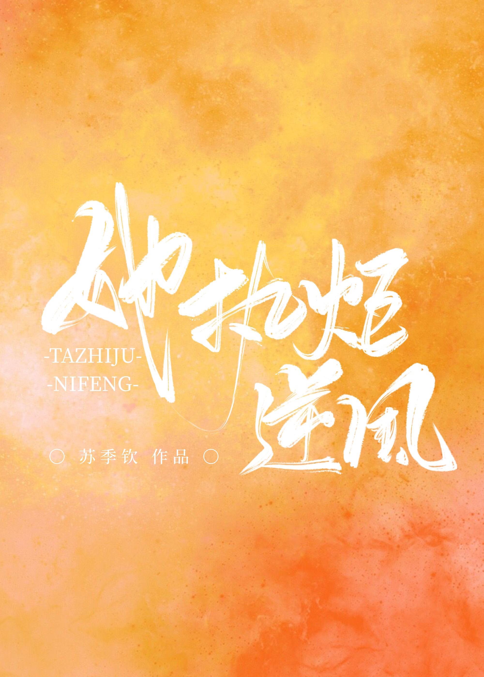她执炬逆风封面