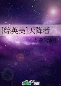 [综英美]天降者封面