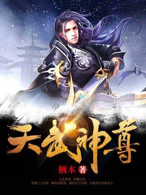 天武神尊封面