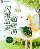 闪婚甜妻超暖萌封面