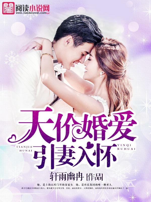 教授的秘密（原版）封面