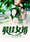 绝品佳婿封面