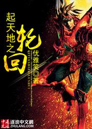 起天地之轮回封面