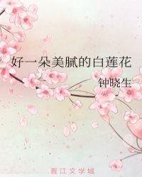 好一朵美腻的白莲花封面