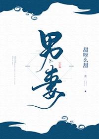 男妻的礼仪封面