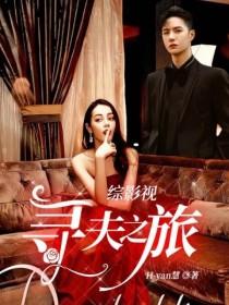 综影视：寻夫之旅封面