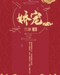 娇宠南安po封面