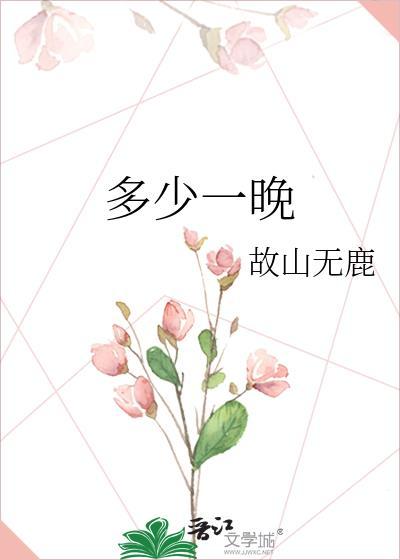 多少一晚封面