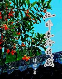 他非要给我钱封面