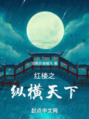 红楼之纵横天下封面