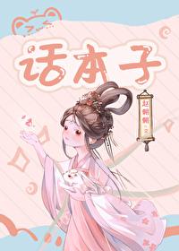 太子妃的话本子封面