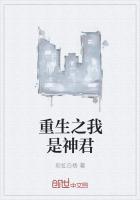 y僧攻略手册封面