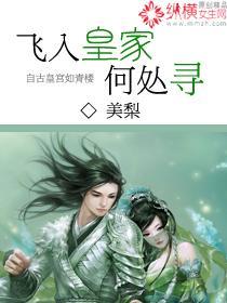 飞入皇家何处寻封面