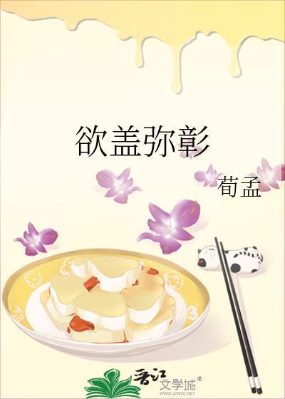 欲盖弥彰封面