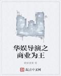 华娱导演之商业为王封面