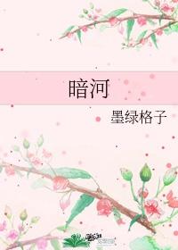 暗河传封面
