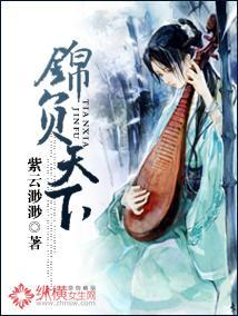 锦负天下封面