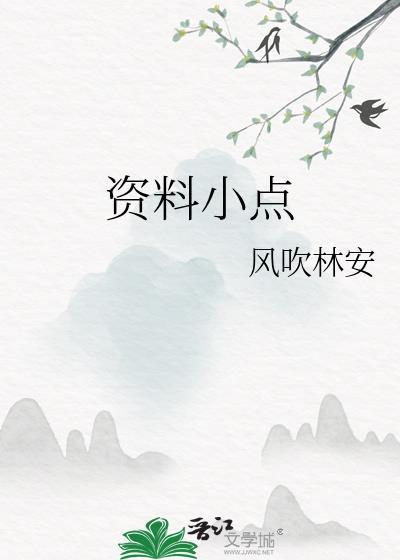 资料小点封面