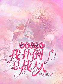 协议结婚后，我扑倒了总裁大人封面