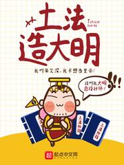 土法造大明封面