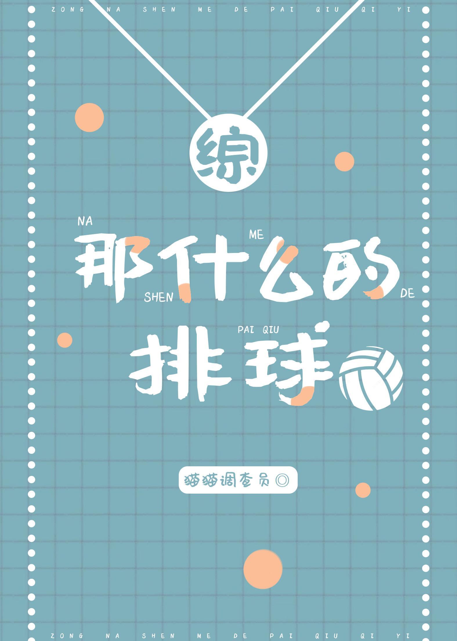 那什么的排球封面